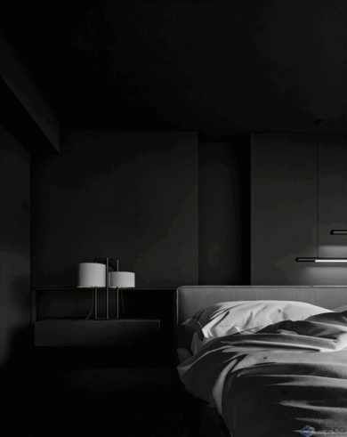 Enscape3.5渲染模型+视频(图5)