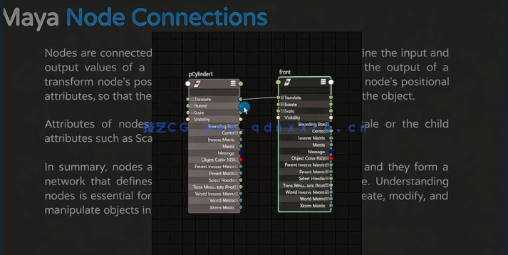 Maya中Python自动化绑定核心技术训练视频教程(图3)