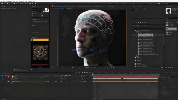 Cinema 4D肖像抽象动画制作训练视频教程(图3)