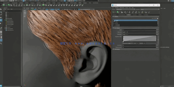 Maya中XGen逼真人物头发制作视频教程(图2)