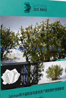 3dsmax草木植物游戏游戏资产模型制作视频教程(图1)