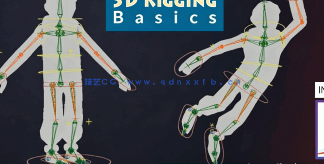 3dsmax角色3D绑定动画核心技能训练视频教程(图2)