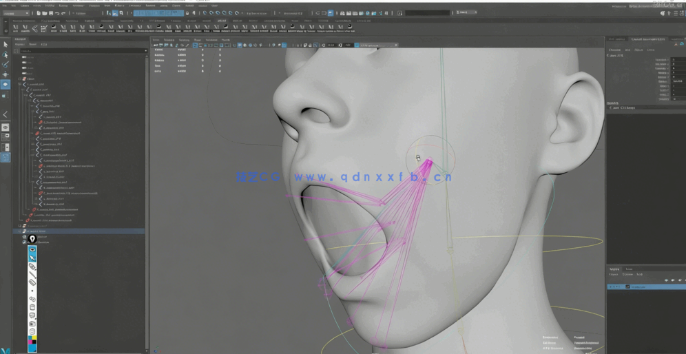 Maya面部绑定装配基础核心技术视频教程(图4)