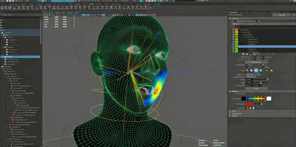 Maya面部绑定装配基础核心技术视频教程(图6)