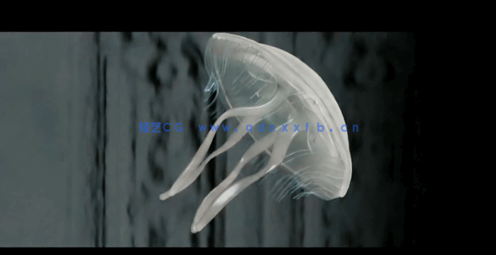  Cinema 4D影视级角色骨骼动画大师班视频教程 (图1)