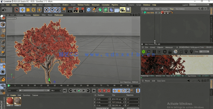 C4D与Octane逼真自然树场景实例制作视频教程(图4)