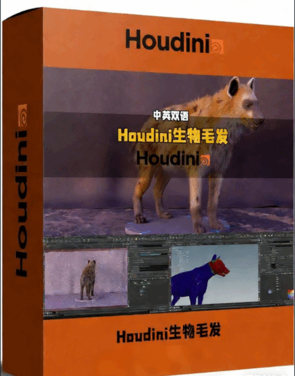 Houdini鬣狗生物毛发实例制作训练视频教程(图1)