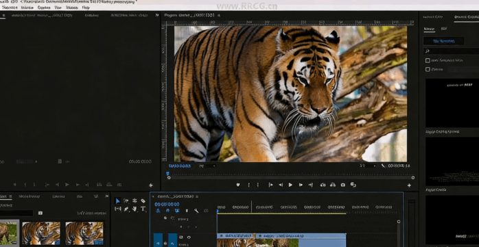 [Premiere Pro] Premiere Pro剪辑特效与转场技术训练视频教程(图3)
