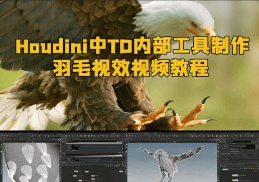  Houdini中TD内部工具制作羽毛视效视频教程(图1)
