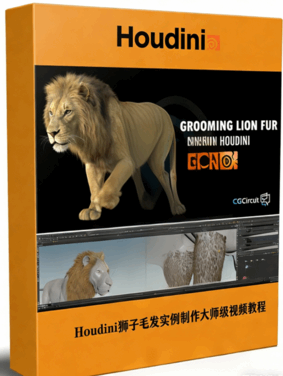  Houdini狮子毛发实例制作大师级视频教程(图1)