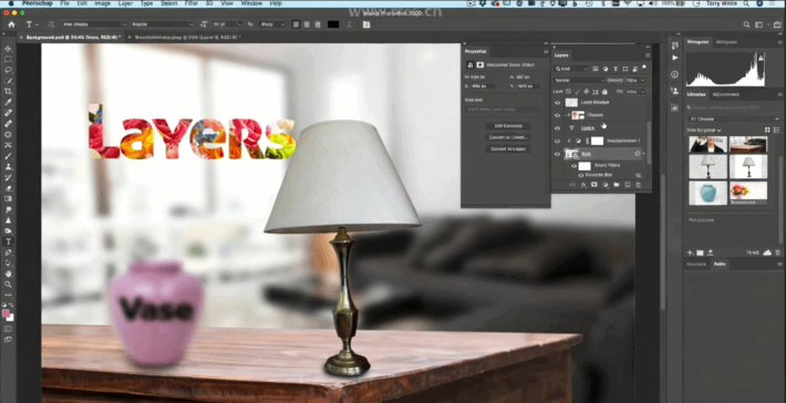PS图层使用技术初学者入门训练视频教程 (图5)