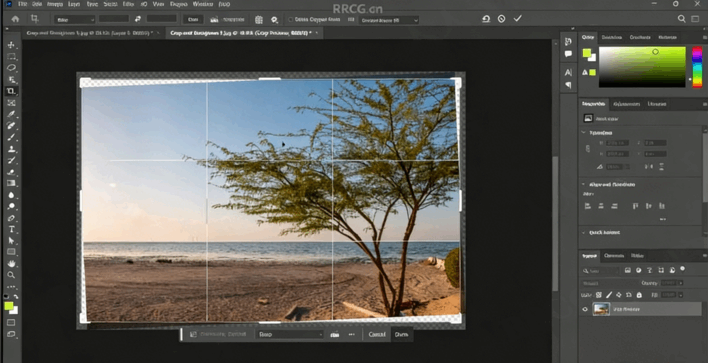 PS与AI轻松学习创意设计2合1视频教程(图3)