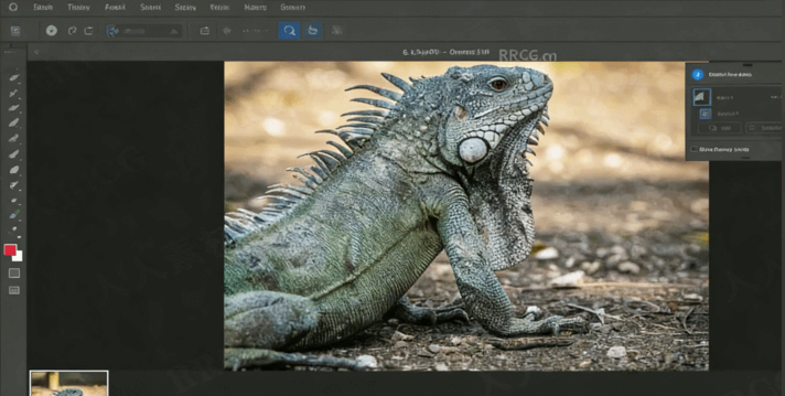 【中文字幕】Photoshop照片快速修复技巧视频教程(图3)