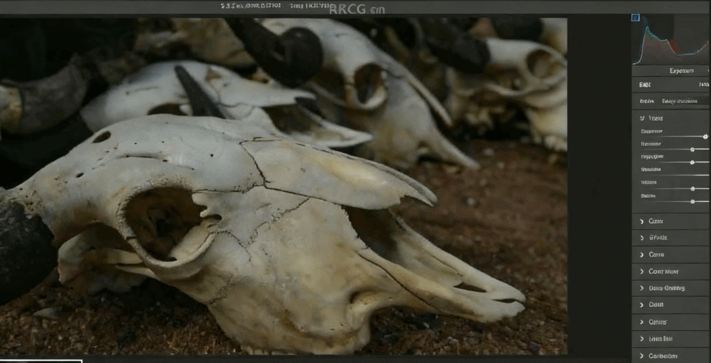 【中文字幕】Photoshop照片快速修复技巧视频教程(图4)