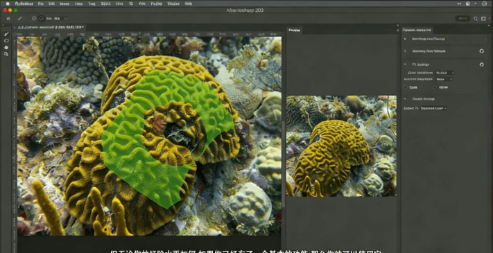 【中文字幕】Photoshop 2023选择工具使用技巧视频教程 (图5)