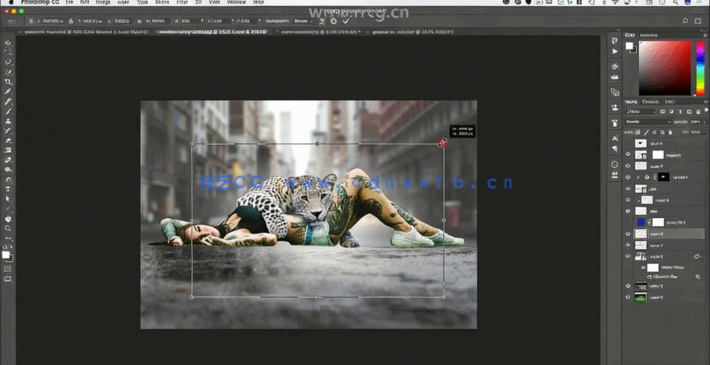 PS美人豹照片特效合成实例训练视频教程(图1)