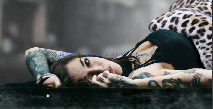 PS美人豹照片特效合成实例训练视频教程(图2)