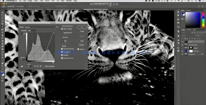 PS美人豹照片特效合成实例训练视频教程(图3)