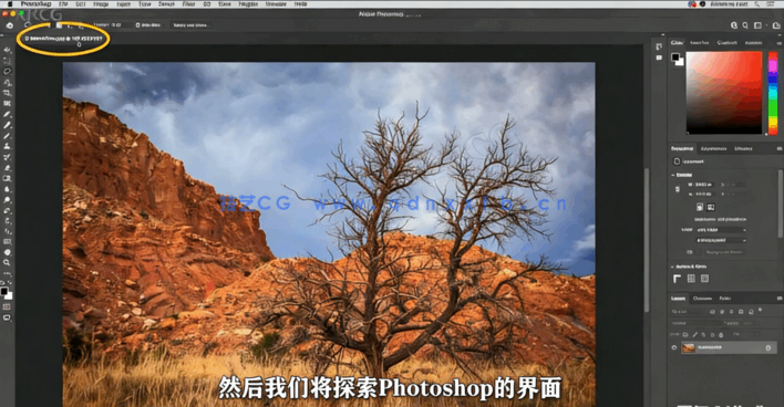 【中文字幕】Photoshop 2022全面核心技术训练视频教程(图3)