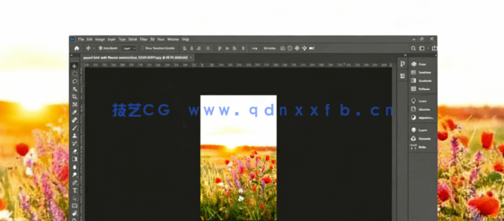 PS初学者基础知识培训工具使用实例工作流程视频教程(图1)