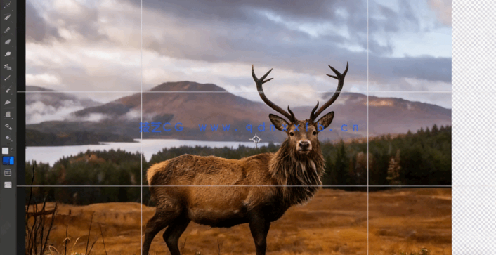 【中英双语】Photoshop 2024 AI人工智能功能入门训练视频教程(图3)