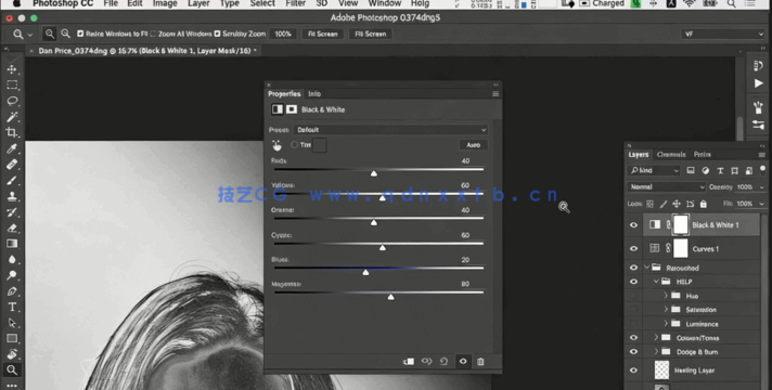  PS肖像曲线调色工具技术训练视频教程(图2)