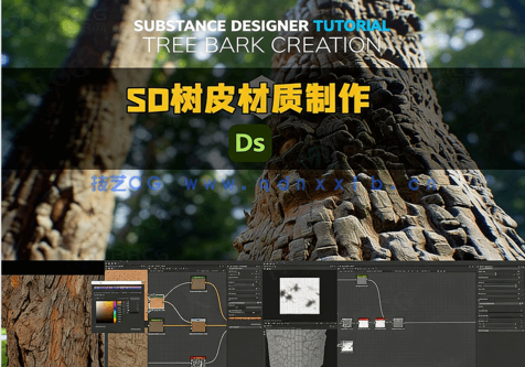 Substance Designer树皮材质实例制作视频教程(图5)