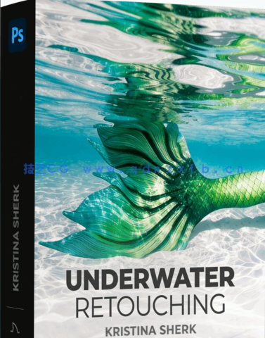 37部欧美人像修饰技术工作流程视频教程合集 (图4)