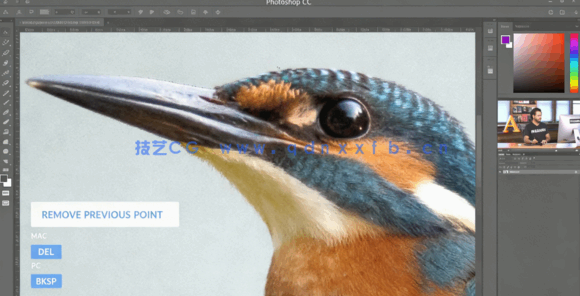 PS中使用磁性套索工具选取图像过程视频教程(图3)