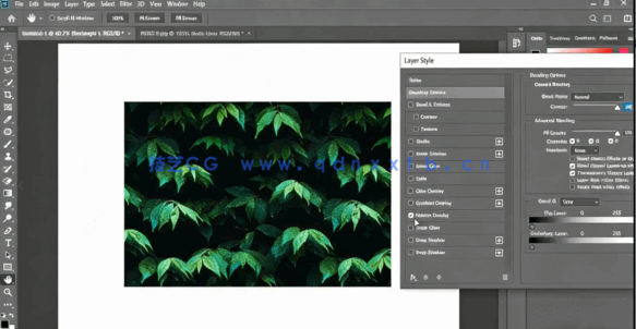 PS2021基础工具应用及实例制作完整课程视频教程(图3)