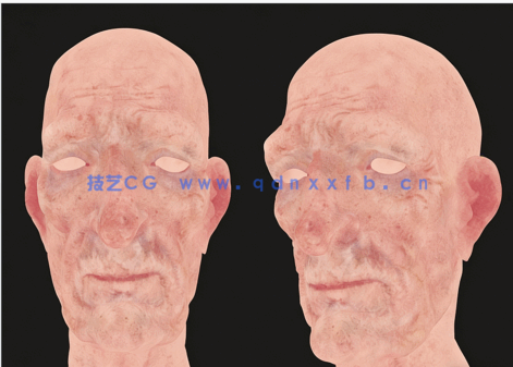 Substance Painter逼真人类皮肤纹理实例制作视频教程(图2)