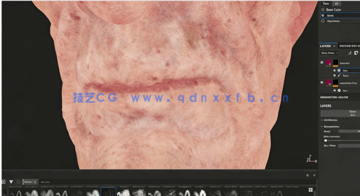 Substance Painter逼真人类皮肤纹理实例制作视频教程(图3)