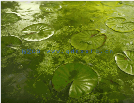 Substance designer逼真材质实例制作大师级视频教程(图1)