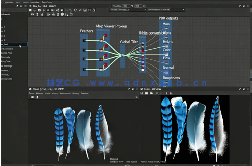 Substance Designer逼真羽毛PBR纹理实例制作视频教程(图2)