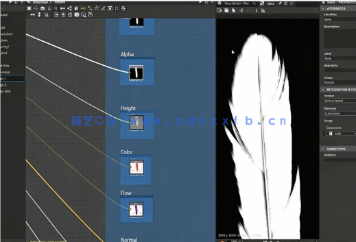 Substance Designer逼真羽毛PBR纹理实例制作视频教程(图3)