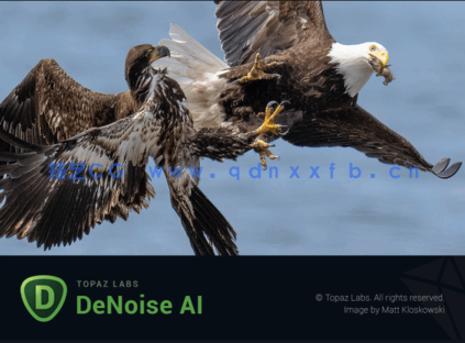 Topaz DeNoise AI  - 专业图像降噪软件下载(图1)
