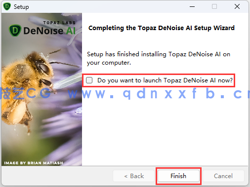Topaz DeNoise AI  - 专业图像降噪软件下载(图9)