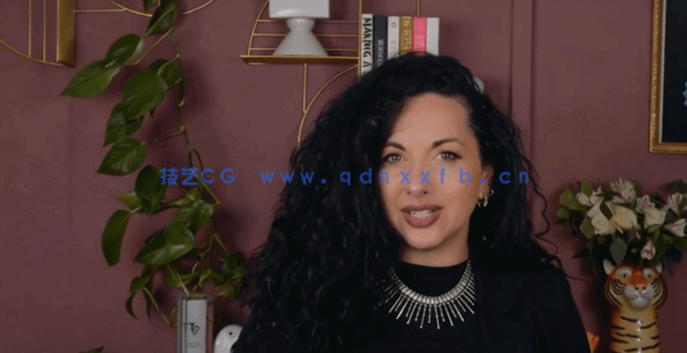 【中文字幕】Illustrator CC 2023基础核心技术训练视频教程(图3)