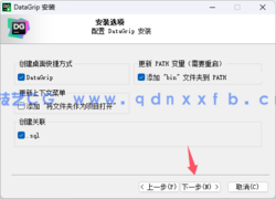 Datagrip-数据库管理与开发工具(图5)