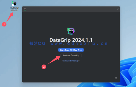 Datagrip-数据库管理与开发工具(图14)