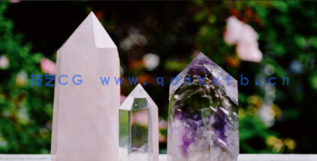 AI绘制珠宝从草图到矢量图像设计创建过程视频教程(图3)