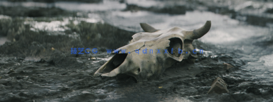 Blender与Reality Capture摄影测量技术制作照片3D化资产视频教程 (图4) Blender与Reality Capture摄影测量技术制作照片3D化资产视频教程 (图4)