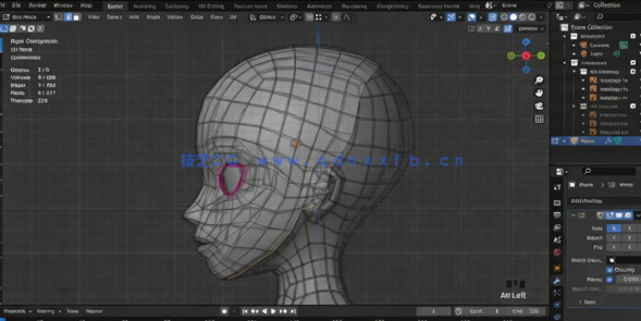  Blender动漫人物建模实例制作训练视频教程(图3)