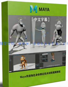 Maya快速角色身体绑定技术训练视频教程(图1)