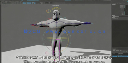 Maya快速角色身体绑定技术训练视频教程(图4)