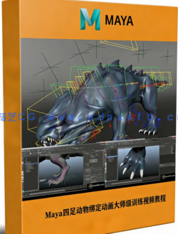 Maya四足动物绑定动画大师级训练视频教程(图1)