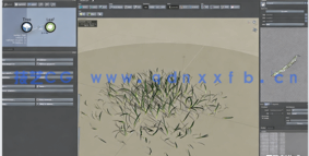 SpeedTree与UE5制作逼真树叶草丛视频教程(图5)