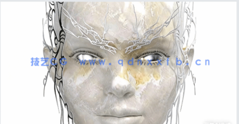 3D数码时尚艺术设计大师班视频教程(图4)