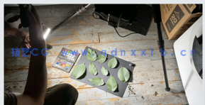 Speedtree与摄影测量沼泽游戏场景制作工作流程视频教程(图1)