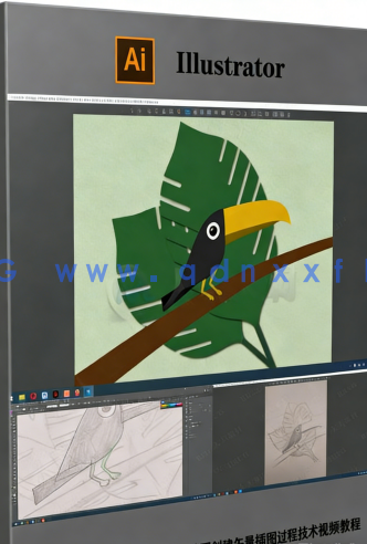  Illustrator初学者基本手绘草图创建矢量插图过程技术视频教程(图5)